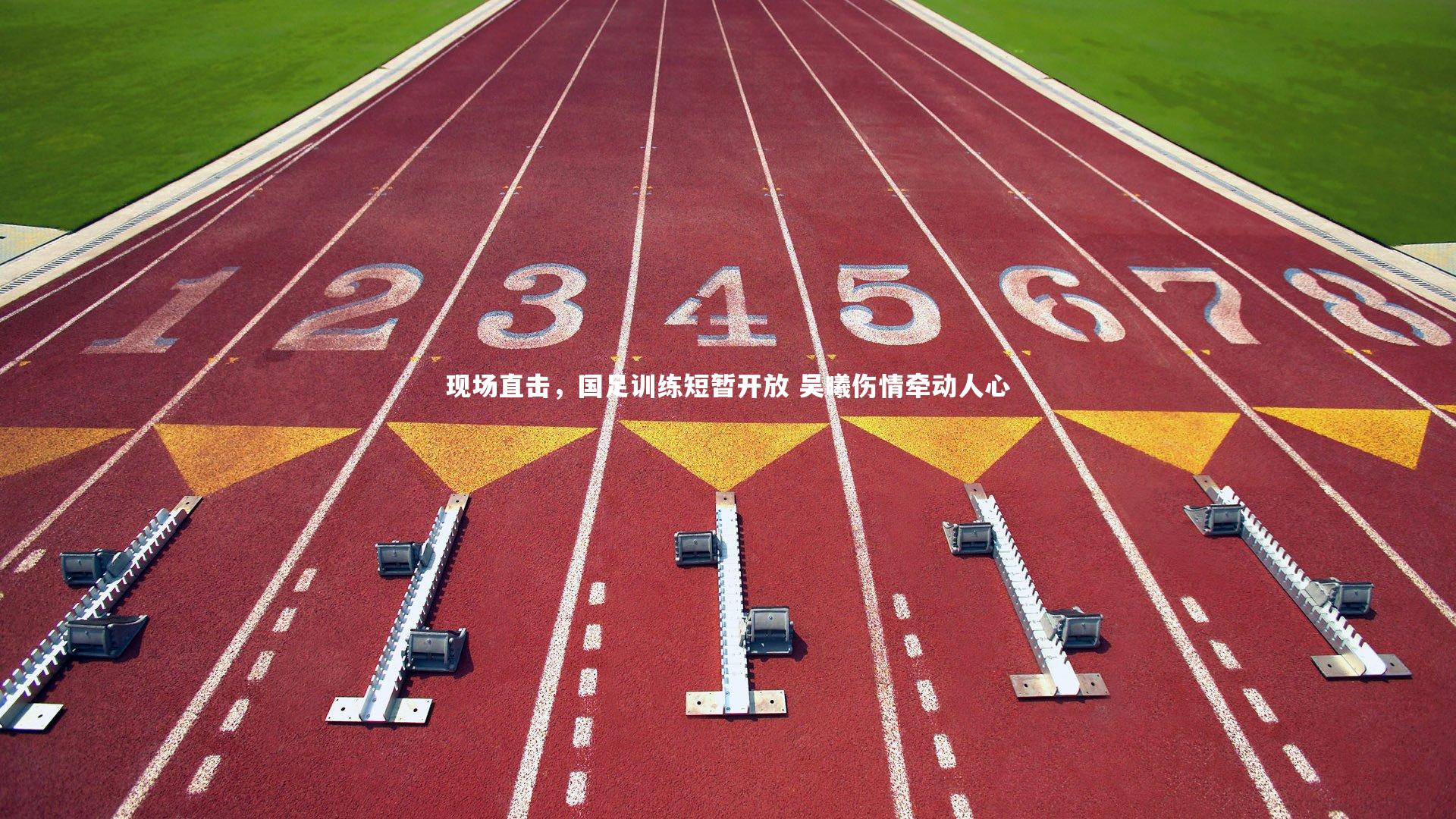 现场直击,国足训练短暂开放 吴曦伤情牵动人心