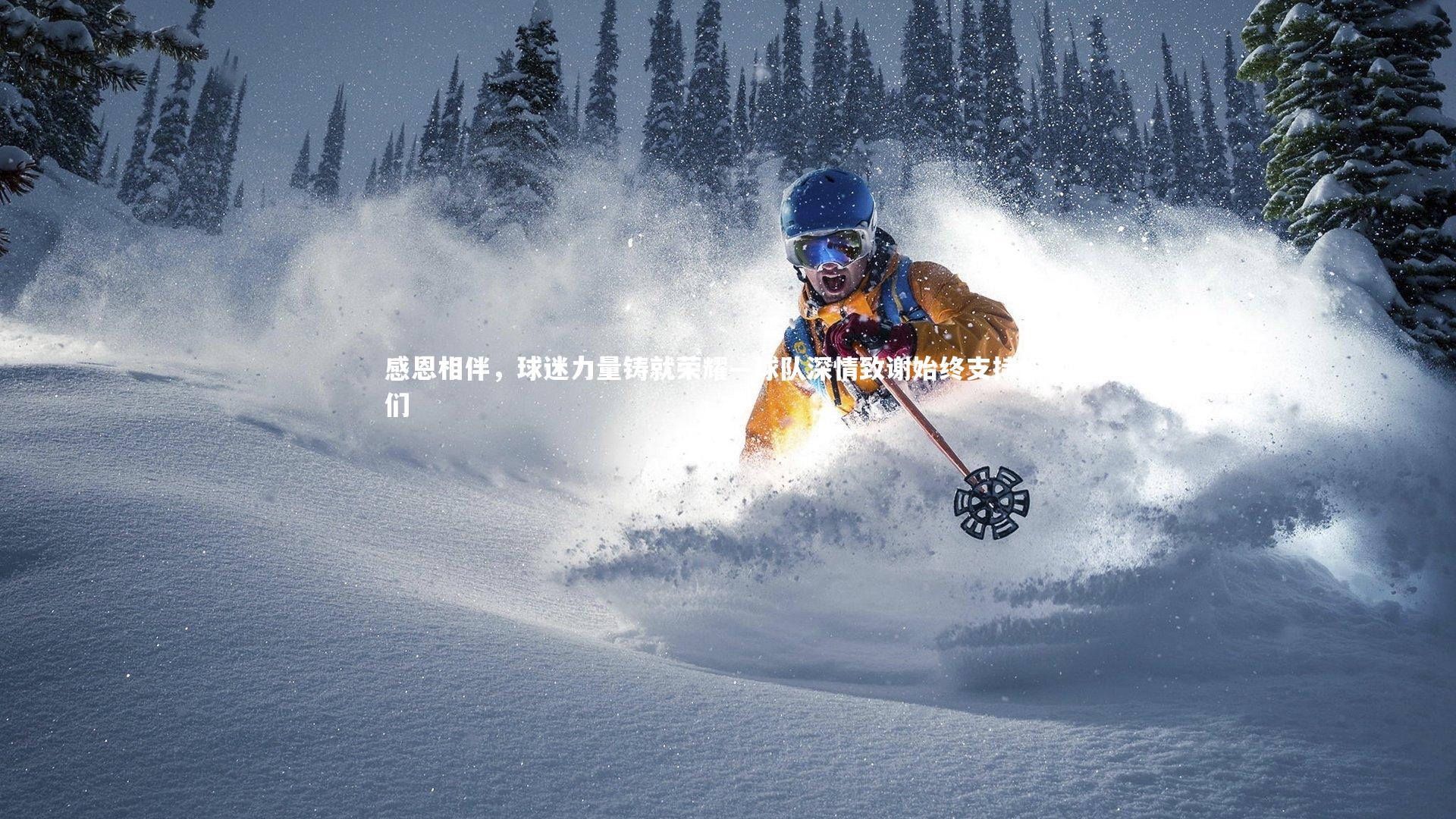 感恩相伴，球迷力量铸就荣耀—球队深情致谢始终支持的你们